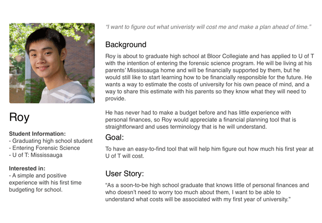 Example of a persona created for the financial planning calculator project.